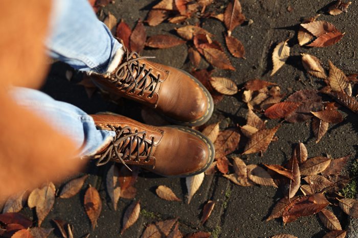 Things to do in November