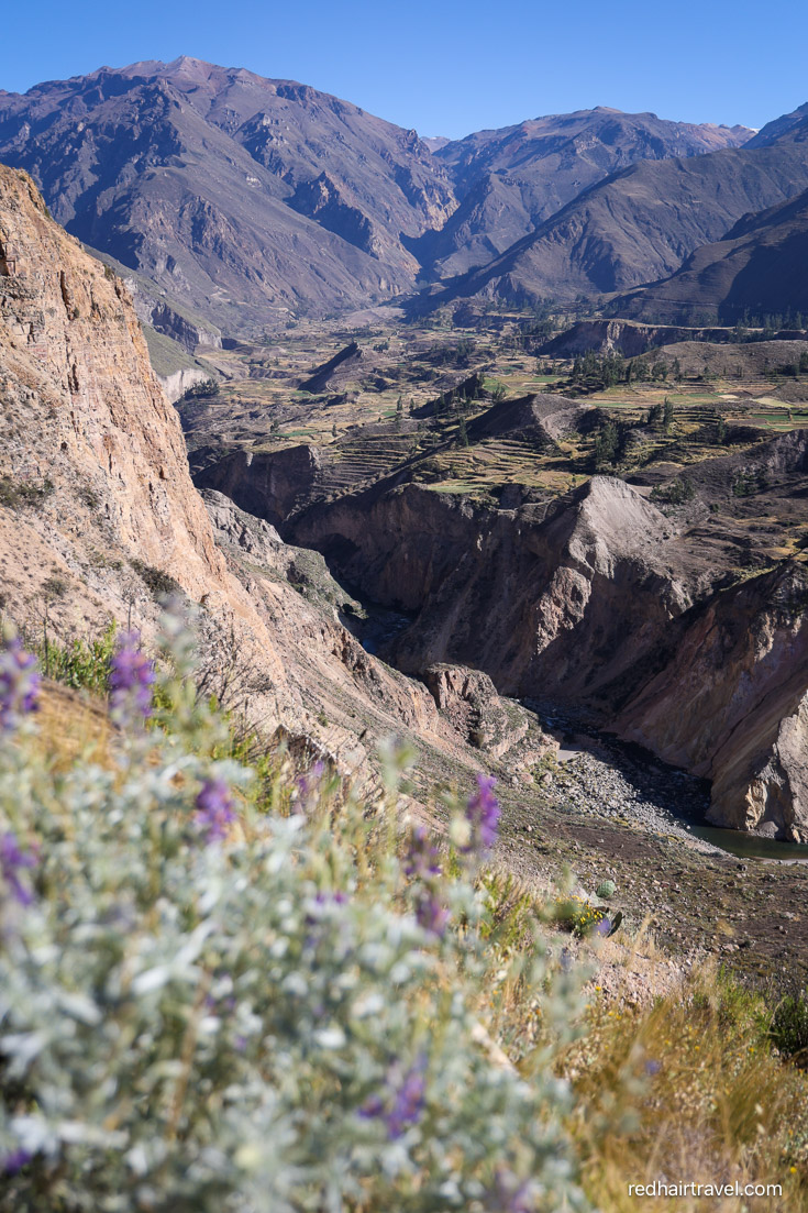Colca Canyon, what to see in Peru in 2 weeks