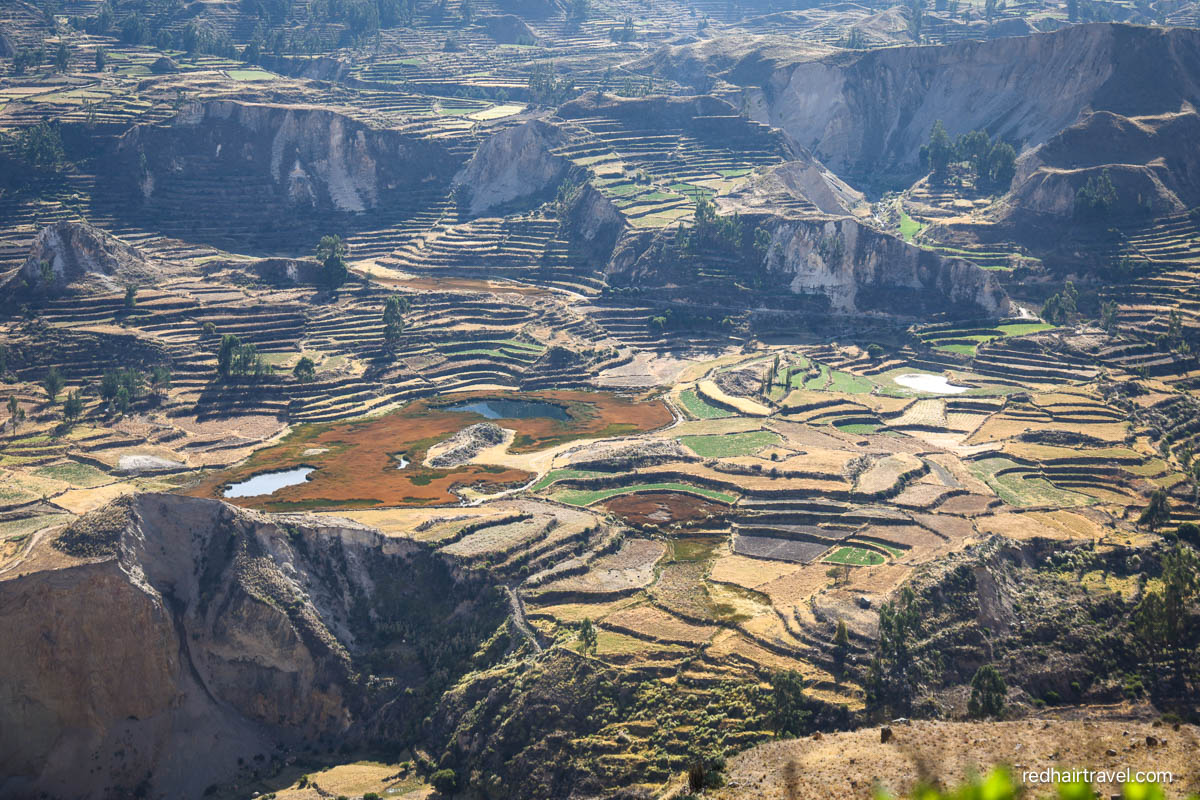 Colca Canyon, what to see in Peru in 2 weeks