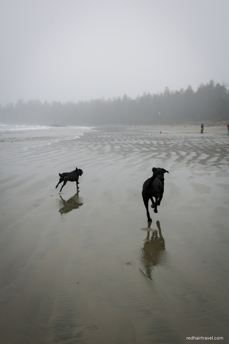 Tofino